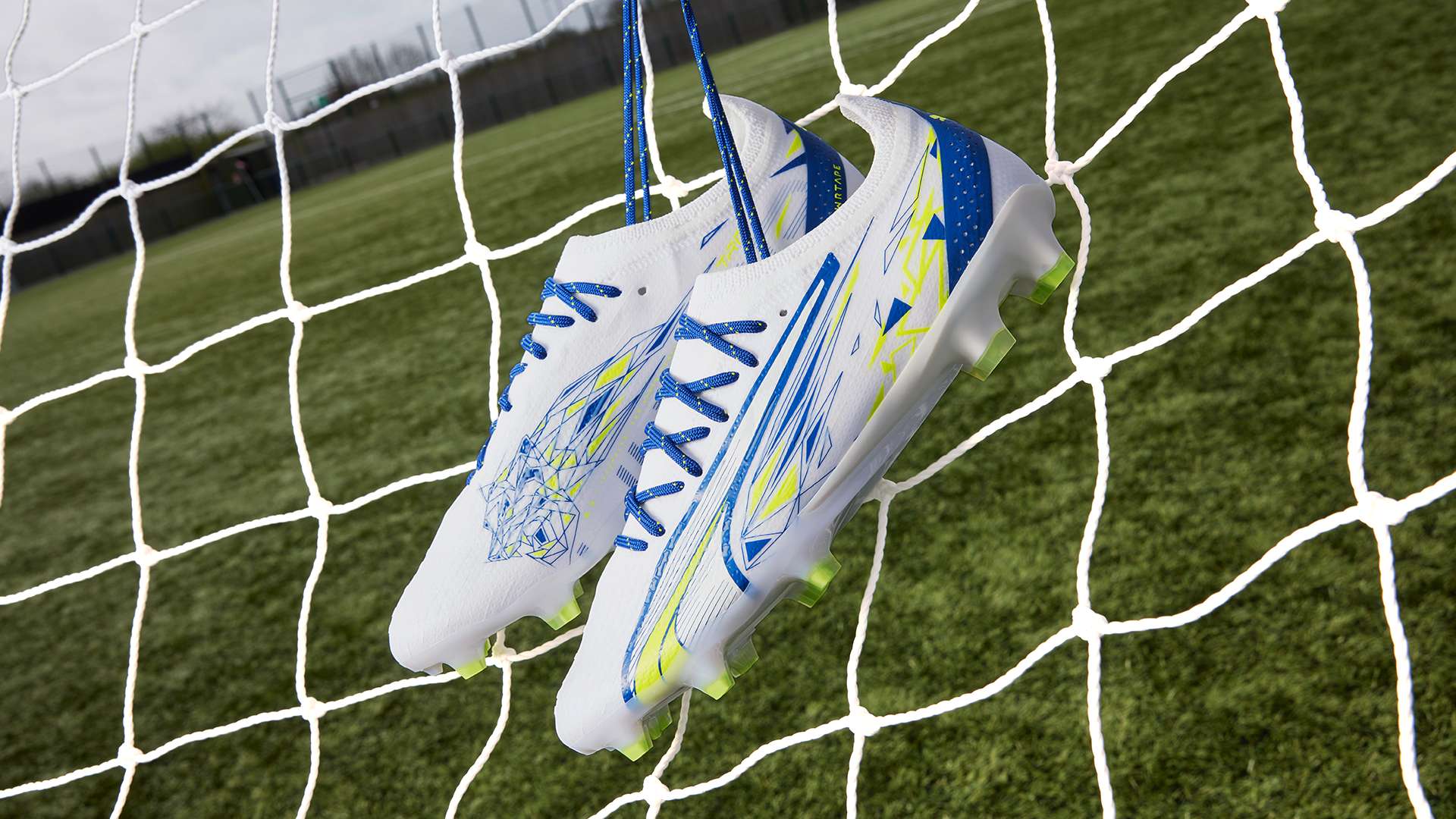 他们需要关 他们需要关