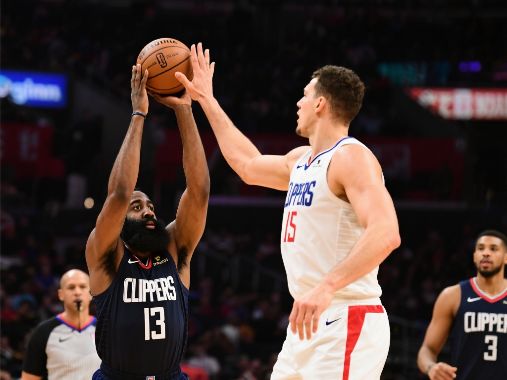 界级中卫 界级中卫